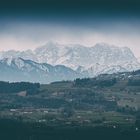 Säuling- und Zugspitzblick