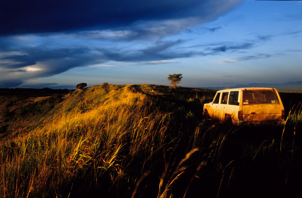 Safari Afrika, Queen Elizabeth Nationalpark, Uganda