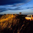 Safari Afrika, Queen Elizabeth Nationalpark, Uganda