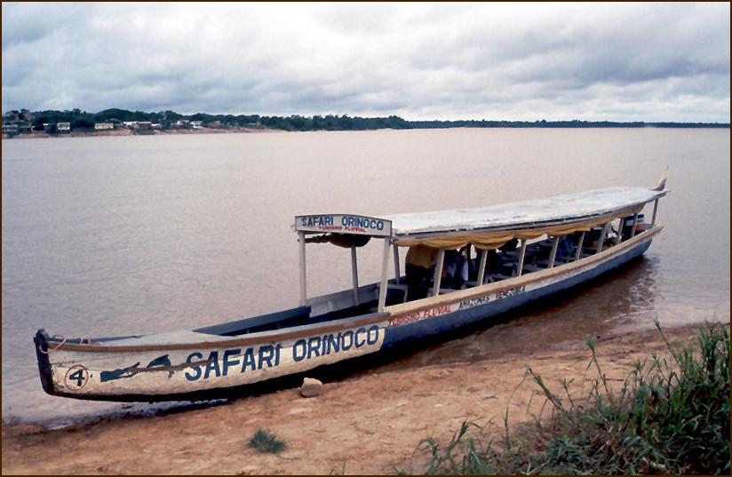 Safari auf dem Orinoco ...