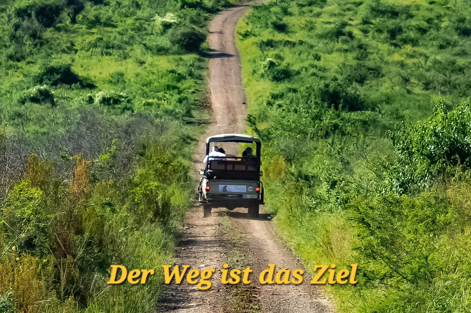 Safari auf der Pirsch