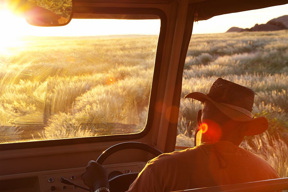 SaFaRi-CaR von Matthias Meschini 