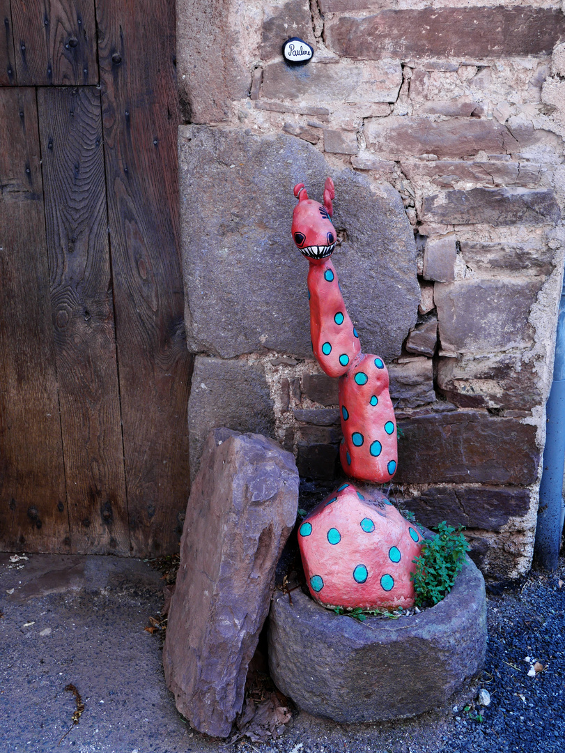 safari en Aveyron  (la der?)