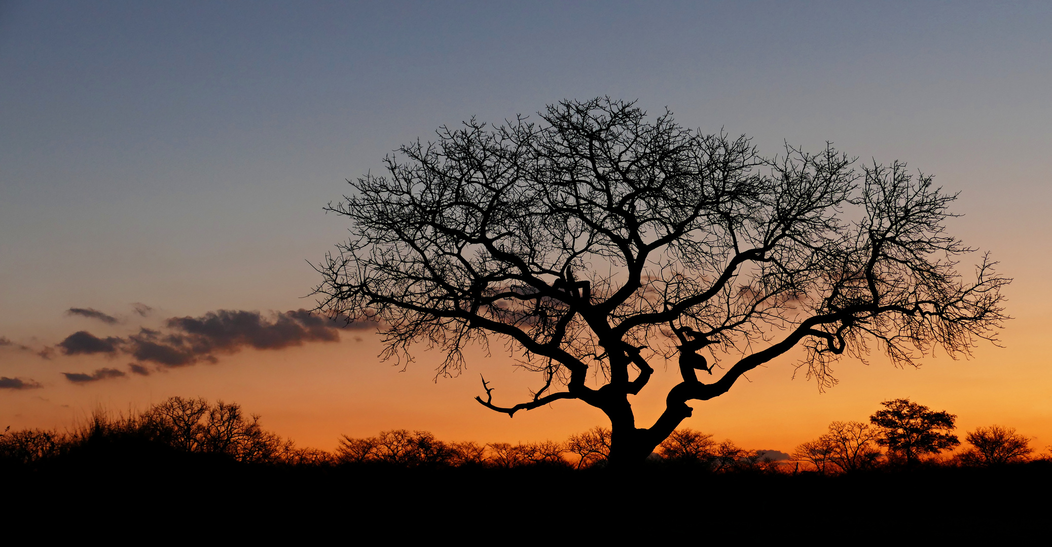 Safari Fotoreise Impression 2017.3 