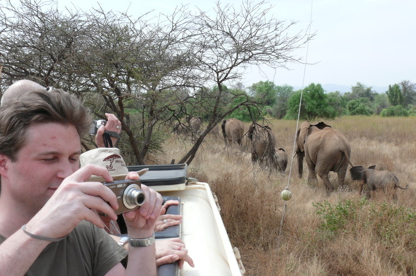 Safari Impression: Elefantengruppe zieht ganz nah vorbei (2)