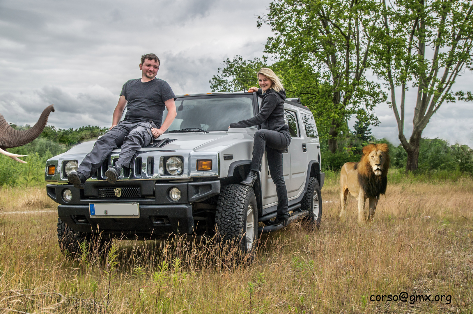 Safari in Gelsenkirchen