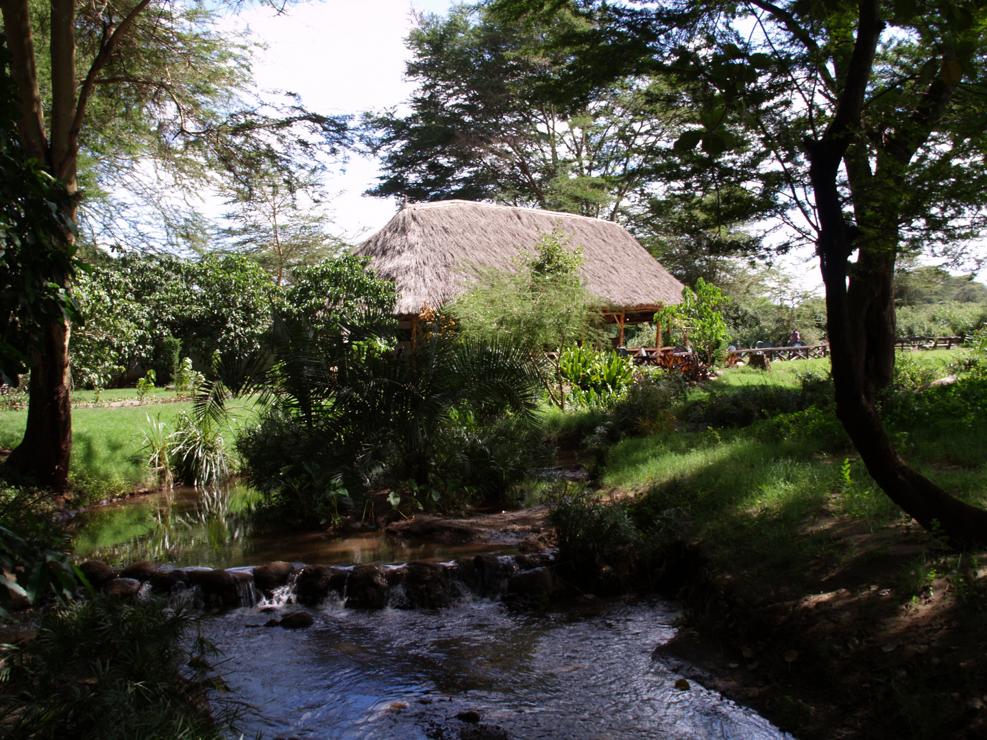 Safari Lodge