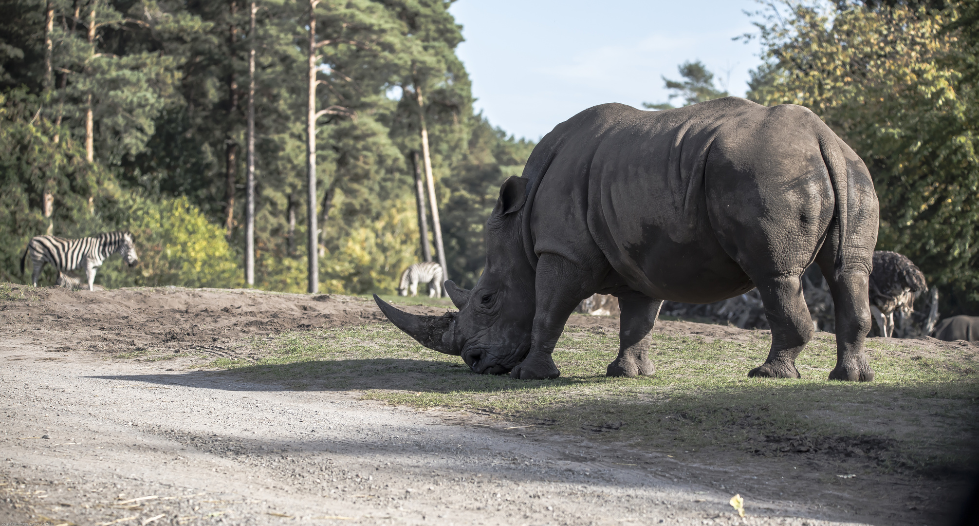 Safari Park Hodenhagen Wieso Kostet 1 Ubernacrtung 184euro www.fotocommunity.de