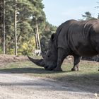 Safari Park Hodenhagen