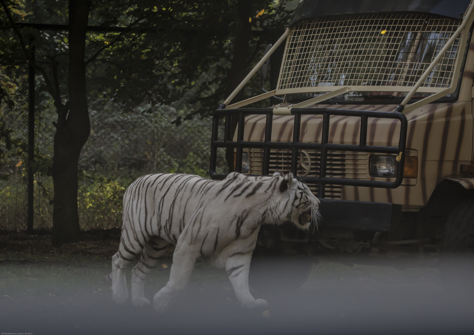 Safari Park Hodenhagen Wieso Kostet 1 Ubernacrtung 184euro www.fotocommunity.de