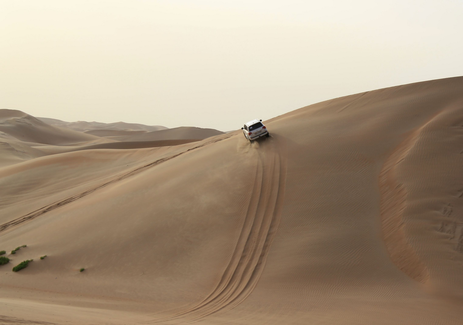 Safari sulle dune