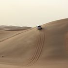 Safari sulle dune