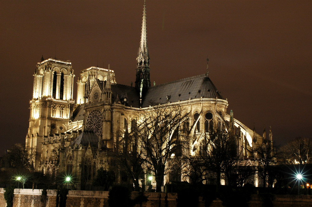 Safari vers Notre-Dame