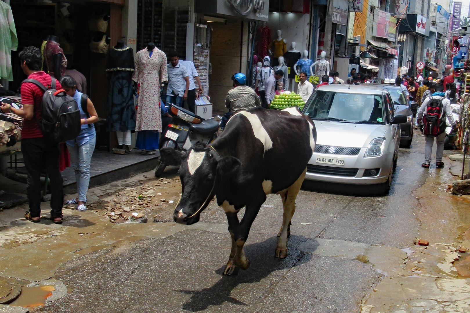 safety car (cow).... low speed necessary