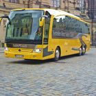 Safety Coach in Dresden