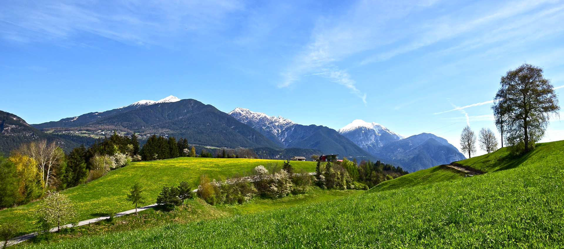 Saftig grüne Wiesen