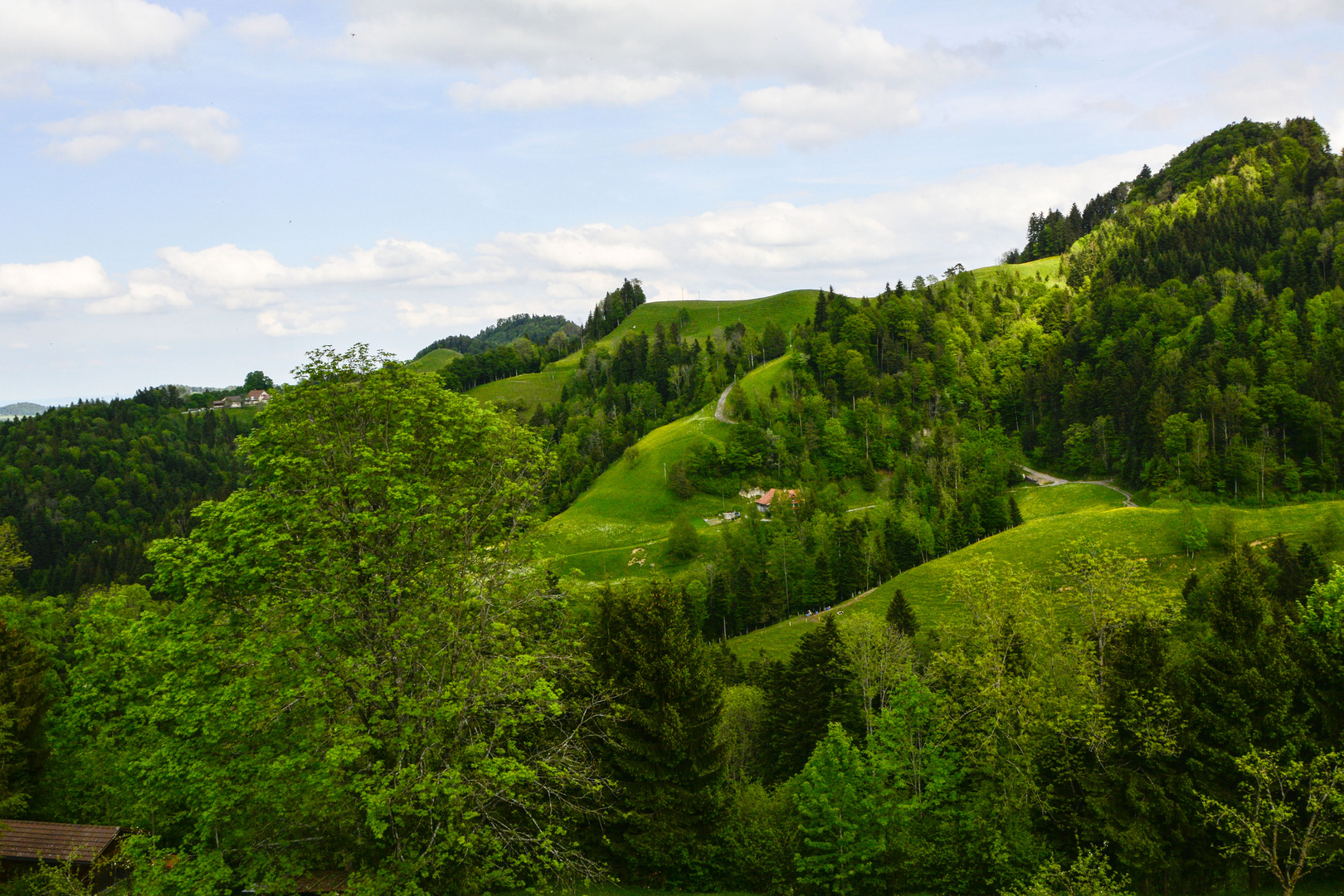 saftig voll grün - und irgendwie rund, bei Sternenberg