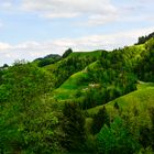 saftig voll grün - und irgendwie rund, bei Sternenberg