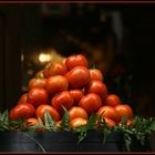 Saftige Tomaten