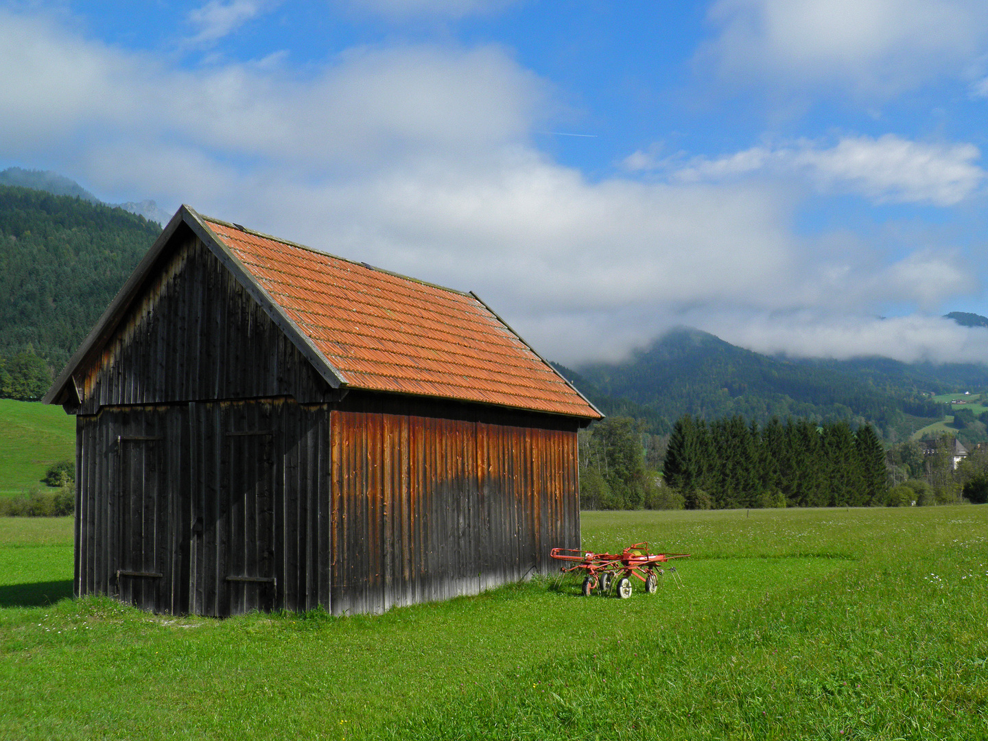 saftige Wiesen