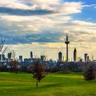 Saftiges 'Green' vor den Toren Frankfurt's