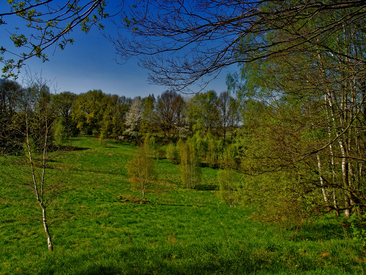 saftiges grün