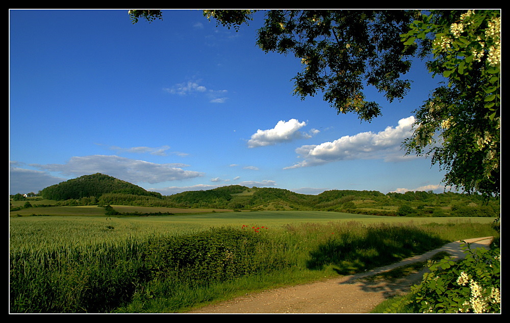 Saftiges Grün