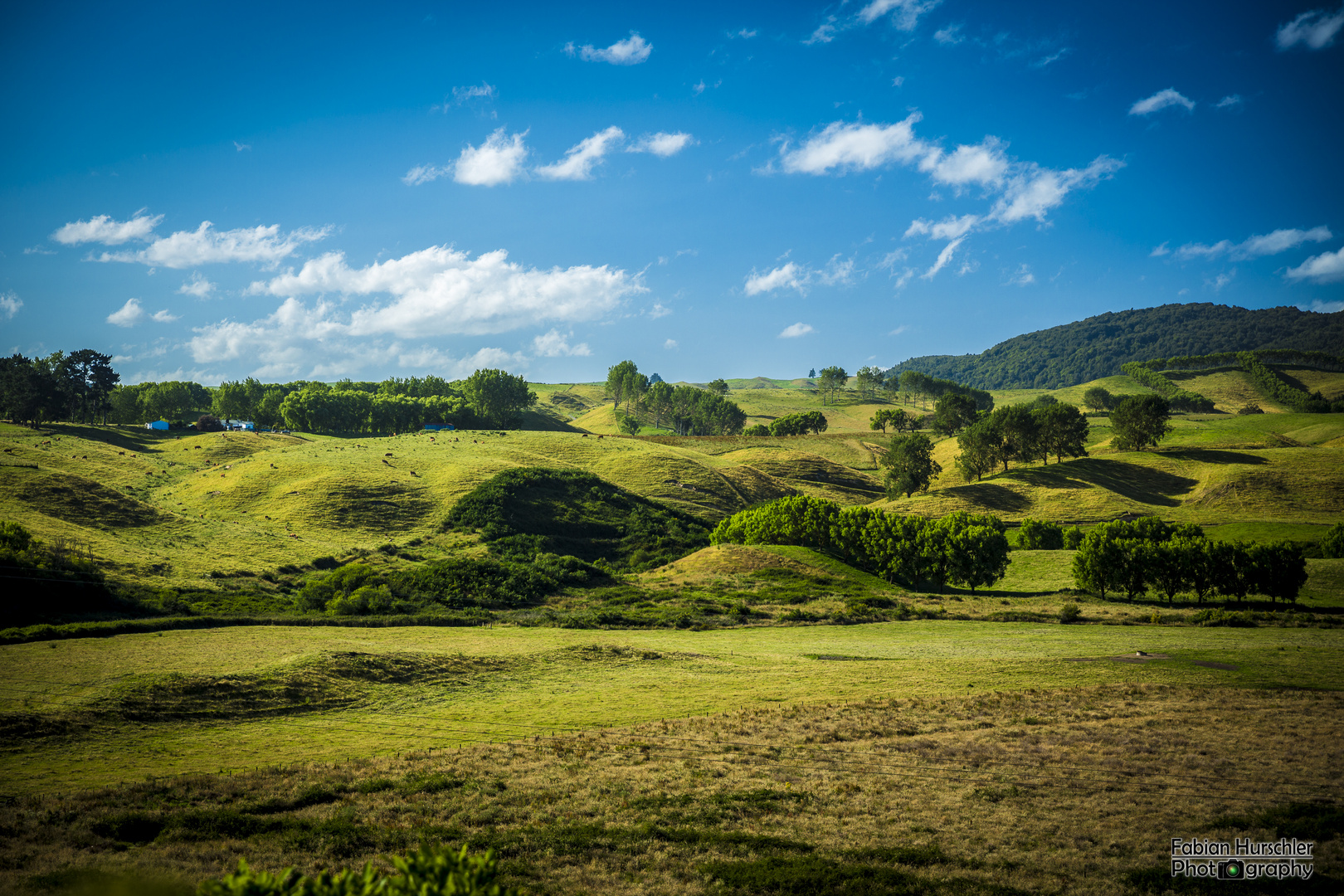 Saftiges Grün