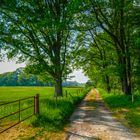 Saftiges Grün markiert den Weg (2)