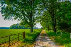 Saftiges Grün markiert den Weg (2)