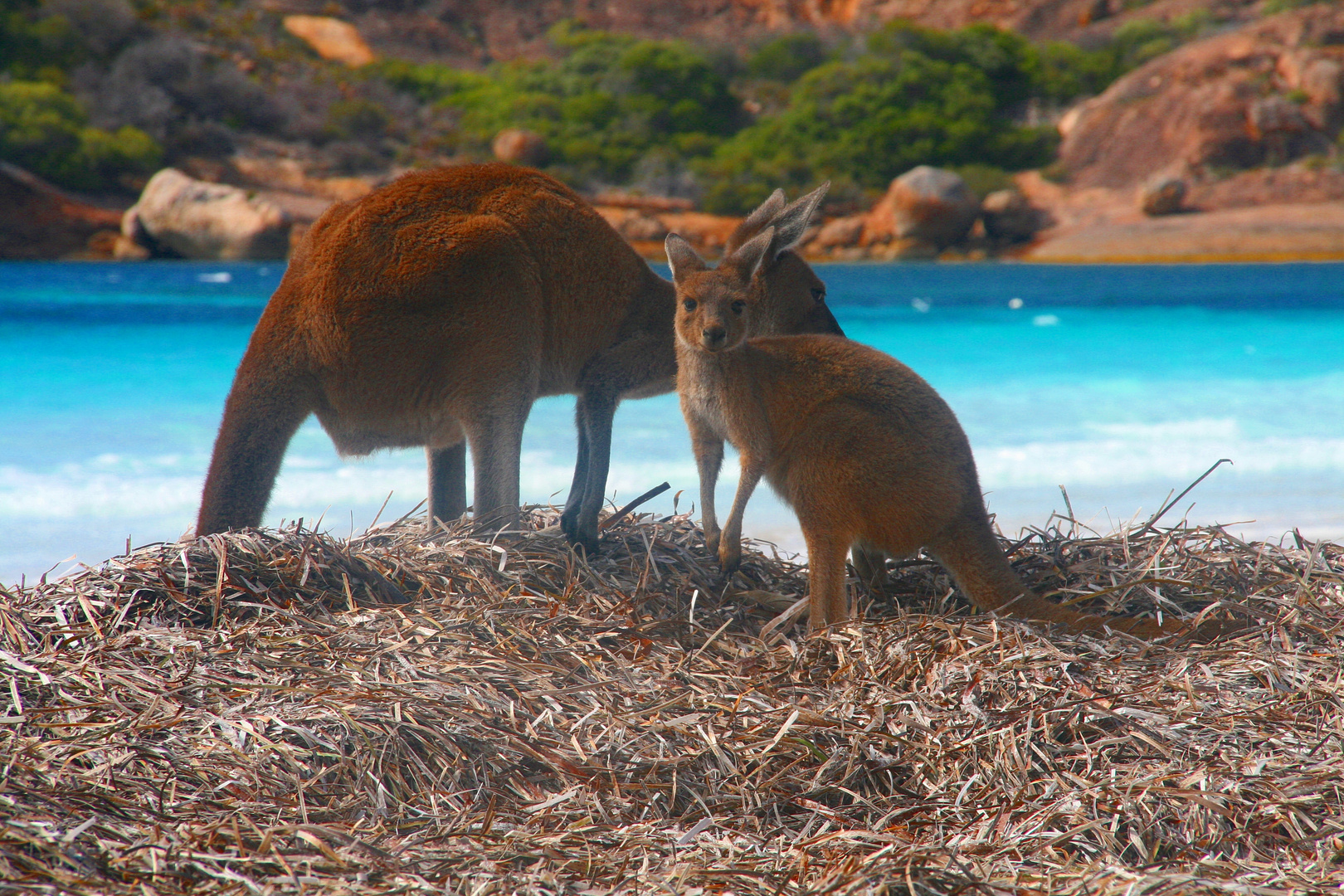 Saftiges, mineralstoffhaltiges:::