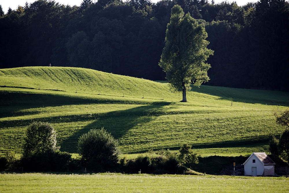 saftiges Oberbayern