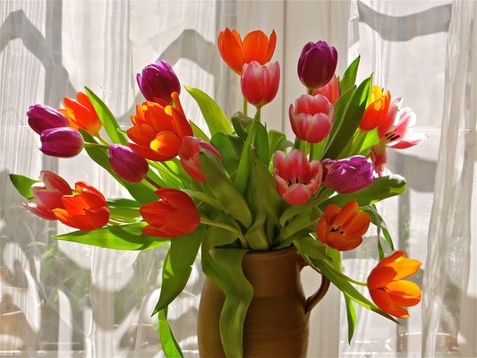 ... sag es mit Blumen !!! ...