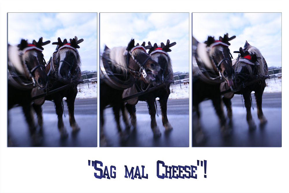 "Sag mal Cheese"!