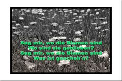 SAG MIR WO DIE BLUMEN SIND.      HTTPS://WWW.YOUTUBE.COM/WATCH?V=YIOF-Q6YGPK