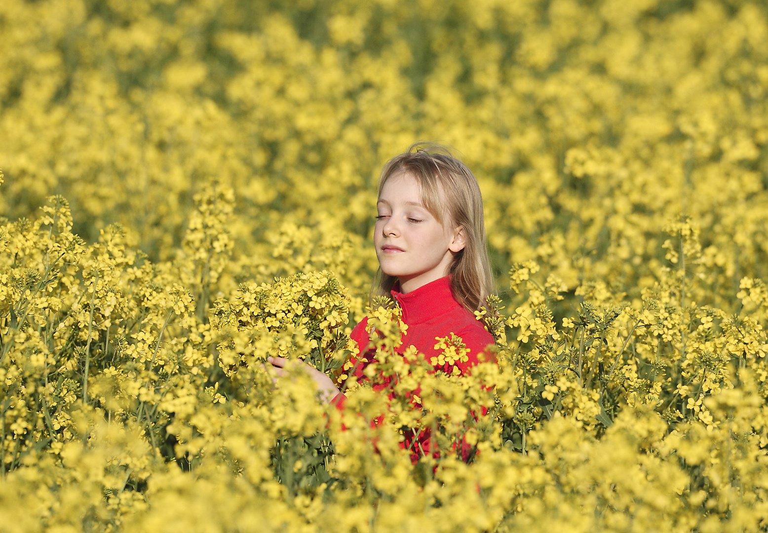 ...sag mir wo die Blumen sind, Mädchen pflückten sie geschwind.....