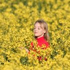 ...sag mir wo die Blumen sind, Mädchen pflückten sie geschwind.....