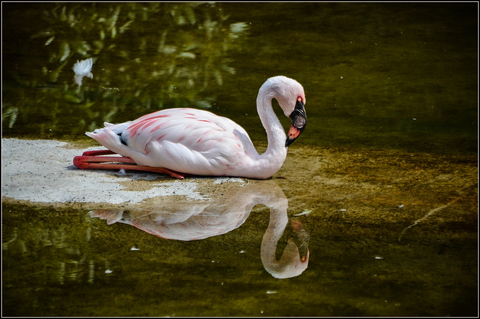 Sag, Spieglein an der Wasseroberfläche, ...