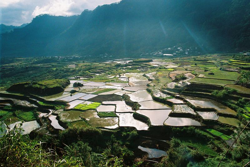 Sagada Reis