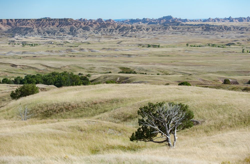 Sage Creek Basin