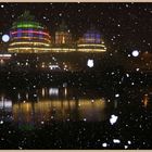 sage in the snow at night