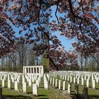 Sage War Cemetery (3D-HD Kreuzblick)