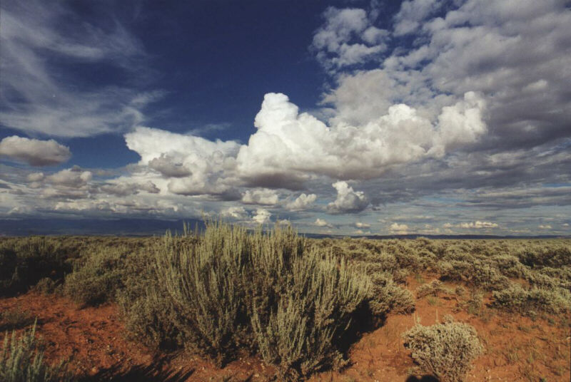 Sagebrush & Clouds