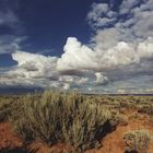 Sagebrush & Clouds