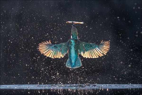 Sagenumwobener Jäger