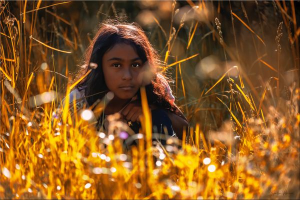  Sagittaire Aime la Nature