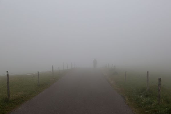 Sagome nella nebbia