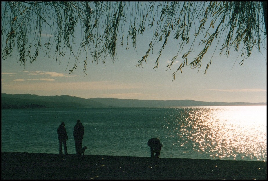 Sagome sul lago