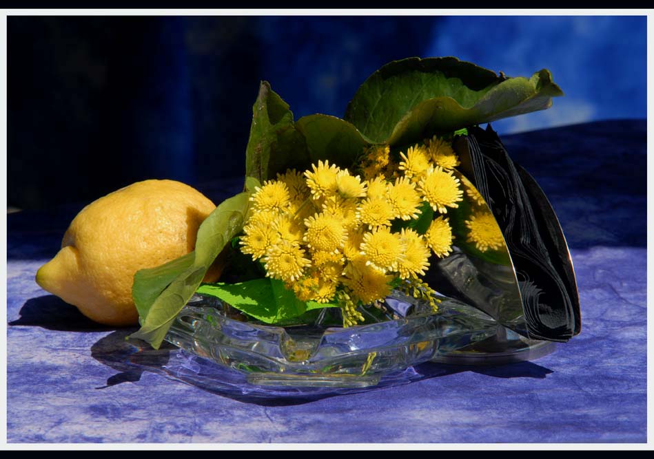 Sagra del limone -Monterosso
