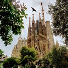 Sagrada Familia 11.09.2019